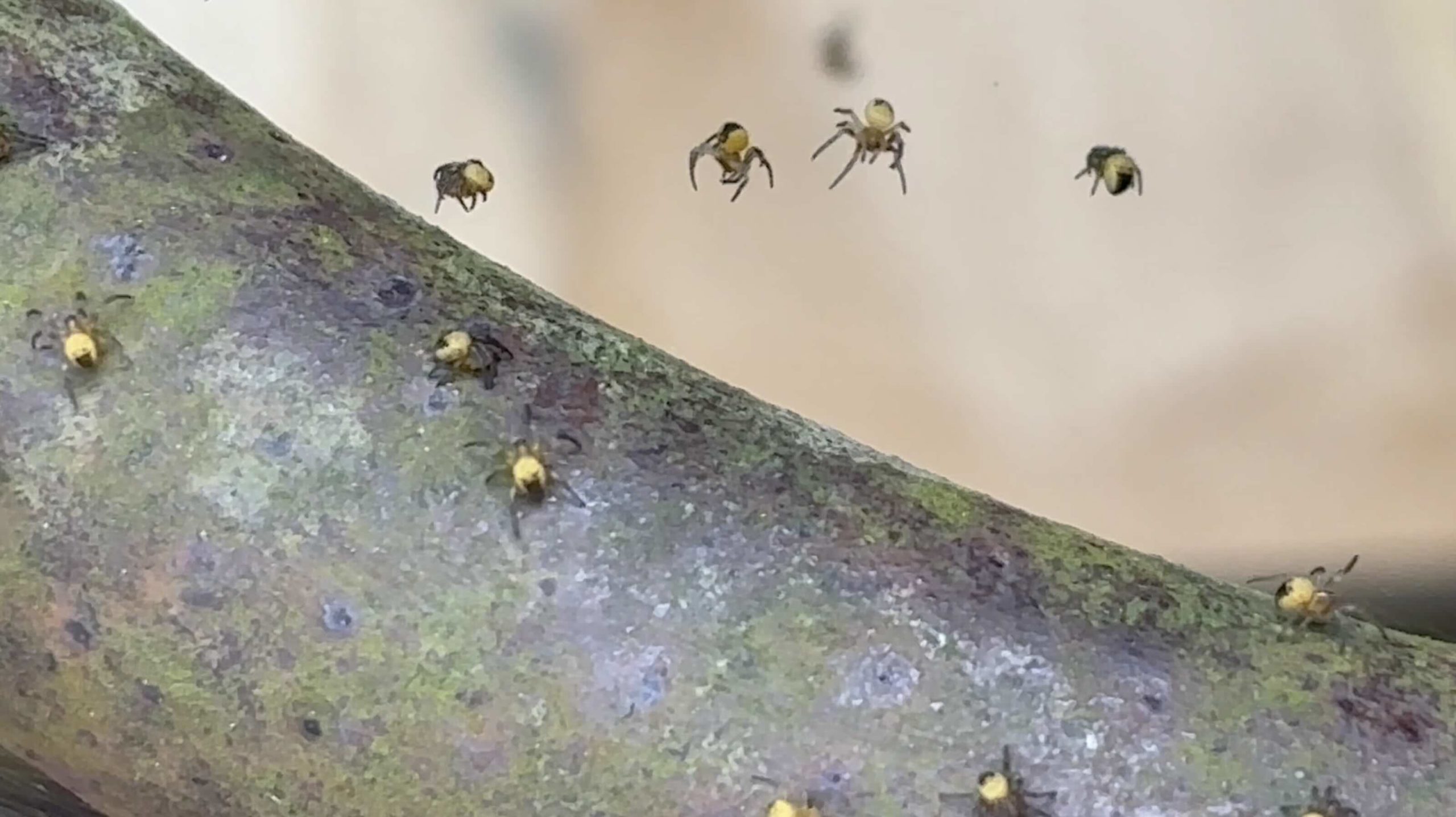 L&rsquo;été arrive bientôt